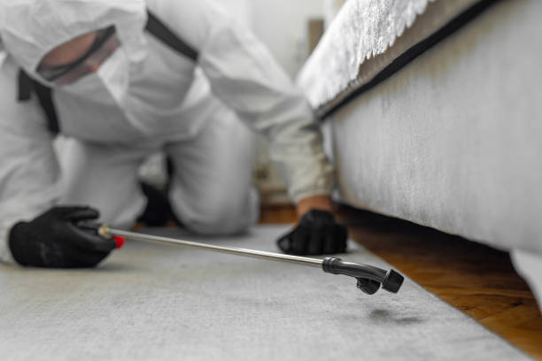Professional Bed Bug Control technician working in Redwater, TX