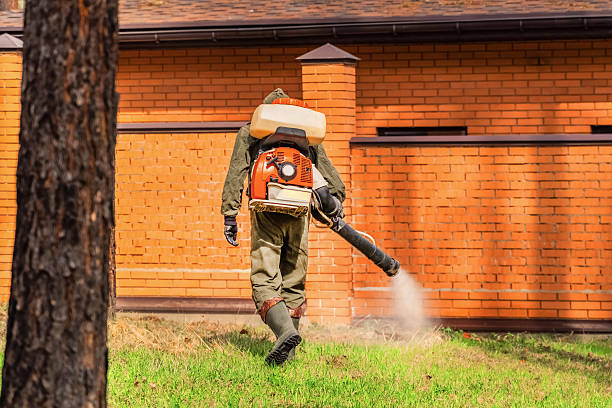 Trusted Bed Bug Control service in Redwater, TX - Nex Pest Control